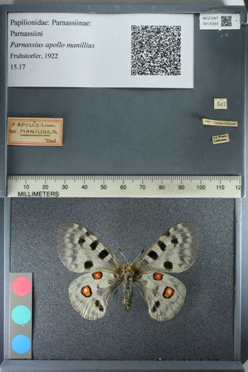 Media type: image;   Entomology 175293